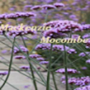 Meet your Posher, Mackenzie